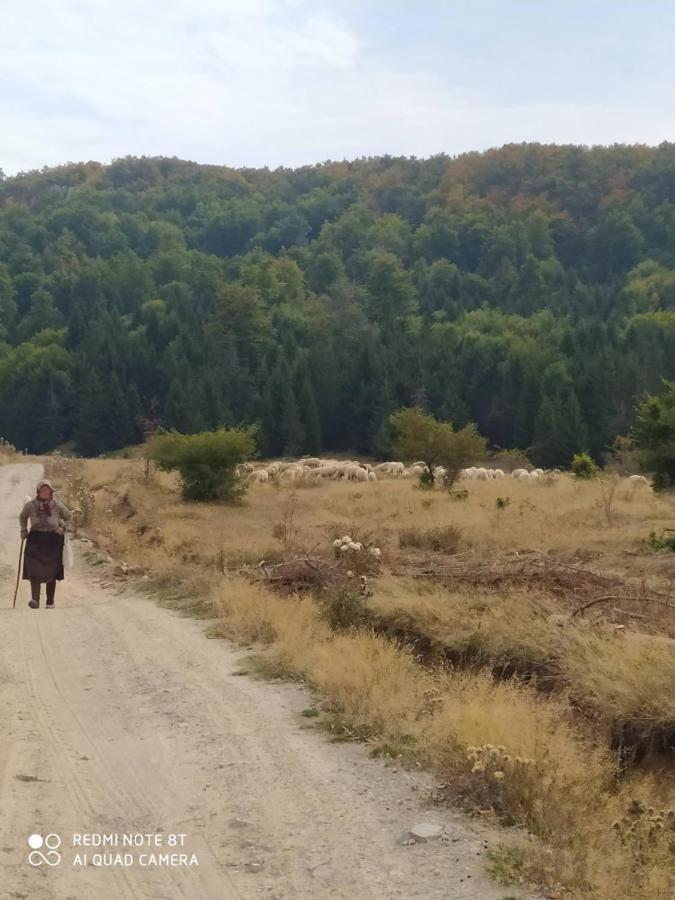 Вилла Vodenica Lug Strmosten Экстерьер фото